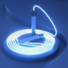 LED Glow-in-the-dark Jumping Rope; USB Chargeabe Luminous Jumping Rope For Men And Women; Home Fitness Workout Accessories