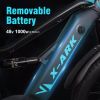 Electric Bike 1000W Motor Fat Tire 26x4 Mountain Bike